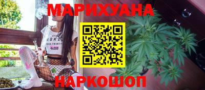 крисы Кулебаки