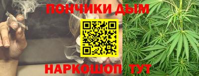 крисы Кулебаки