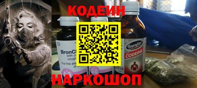 крисы Кулебаки