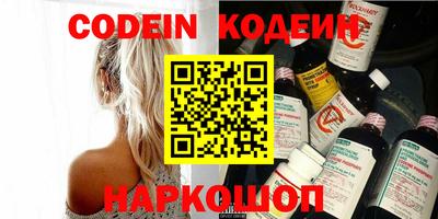 крисы Кулебаки