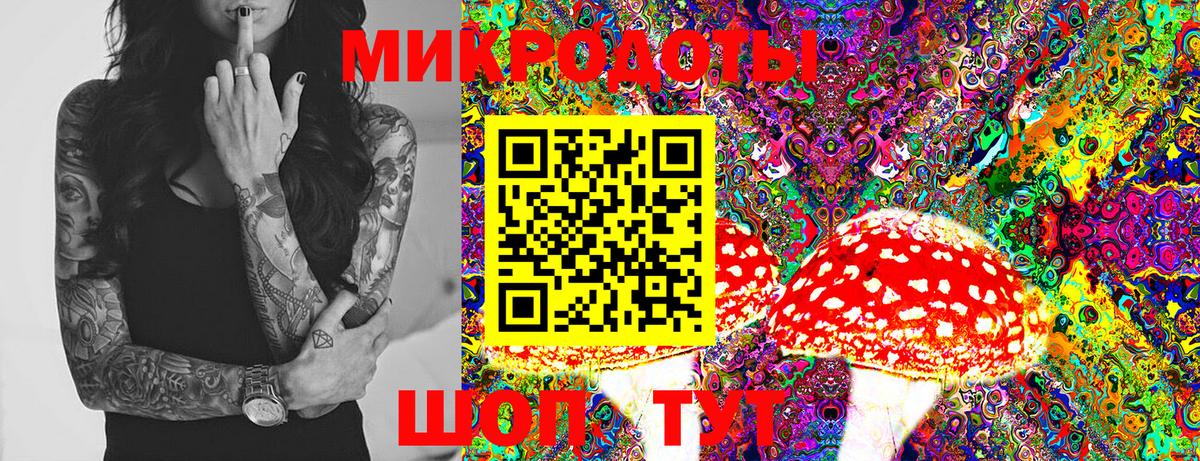 Камышин  Псилоцибиновые грибы Psilocybine cubensis  Вход с VPN  закладки  Псилоцибиновые грибы Psilocybine cubensis 