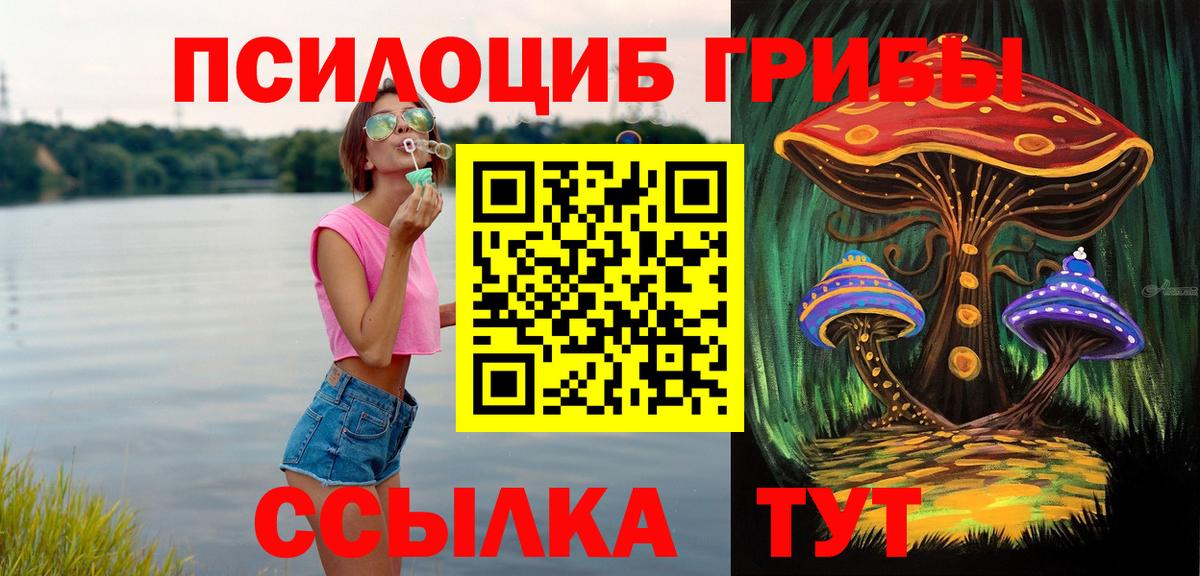 Псилоцибиновые грибы ЛСД Камышин